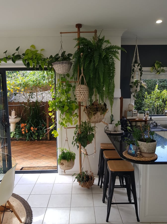 The PlanterPole™ Plant Stand and Hanger